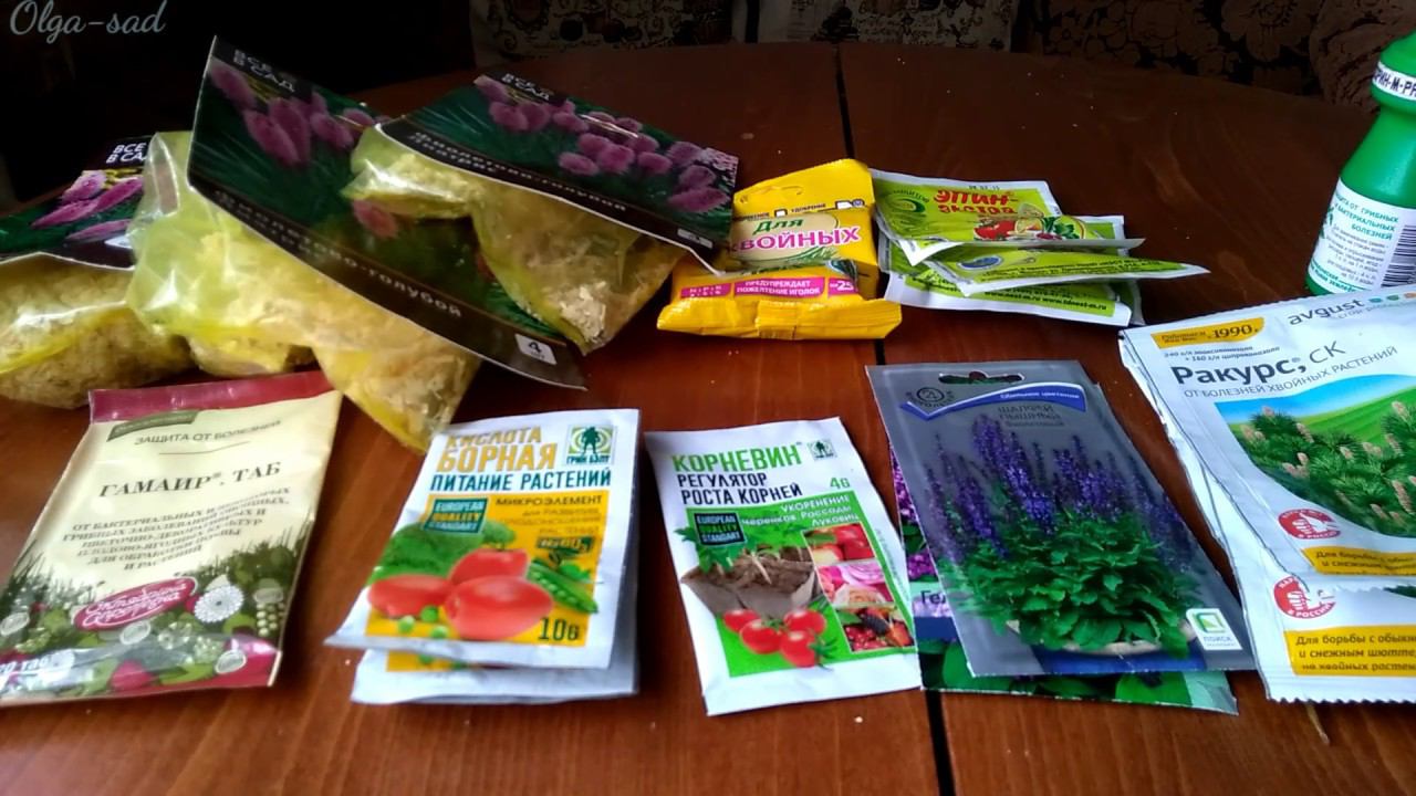 ОБИ.Мои покупки.Обзор растений. смотреть онлайн