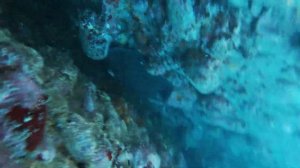 Подводная рыбалка с гарпуном