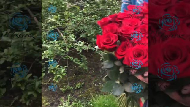 Цветы 29 роз море роз про смотреть онлайн