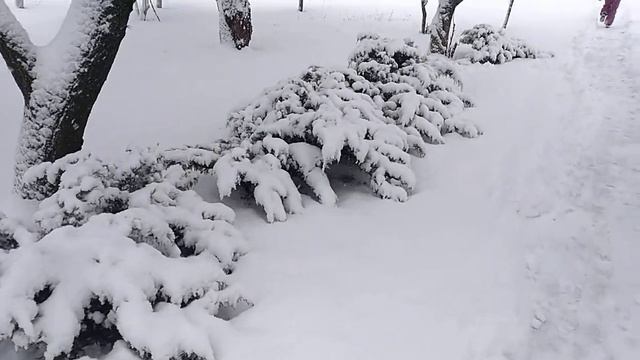 Снежок порхает, кружится - на улице бело... смотреть онлайн