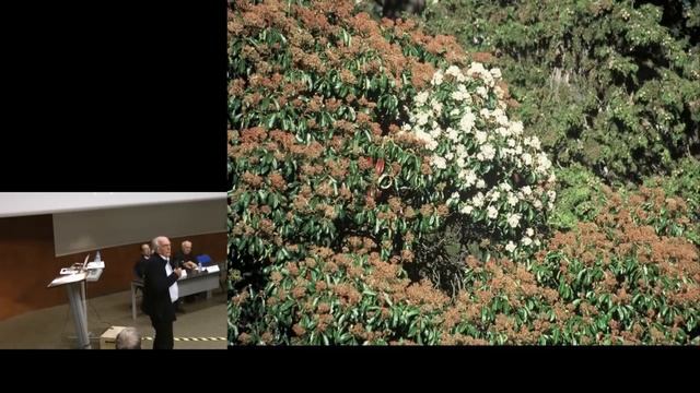 Des données récentes sur les arbres par Francis Hallé смотреть онлайн