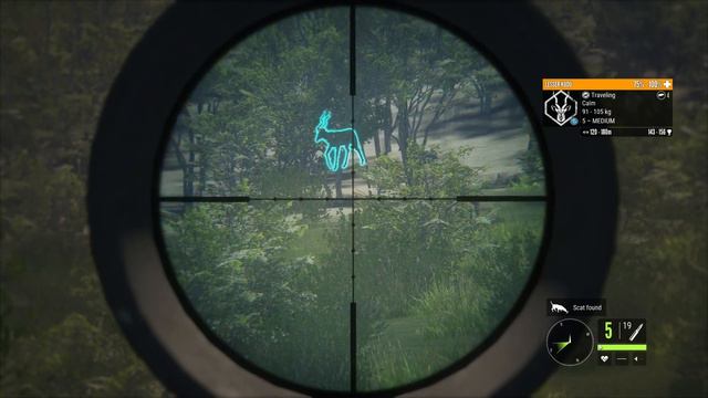 The Hunter: COTW- I got my first diamond animal on Vurhonga Savanna смотреть онлайн