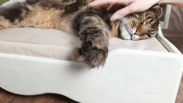 Кроватка для кошек. Лежанка для мейкуна смотреть онлайн