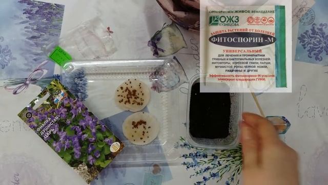Посев многолетней фиалки. смотреть онлайн
