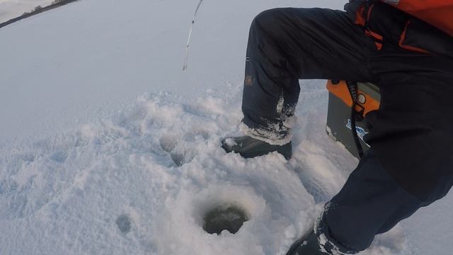 Ловля на мормышку. Первые шаги в безмотылке.Ловля окуня. смотреть онлайн