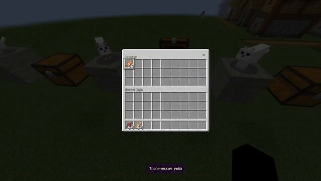 какую рыбу будет есть кот?