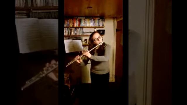 Me playing the flute :) смотреть онлайн