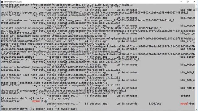 03 docker- creando un contenedor mysql смотреть онлайн