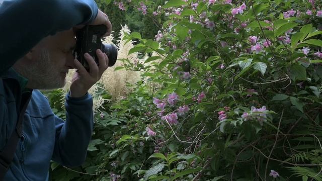 Старый добрый D800 смотреть онлайн