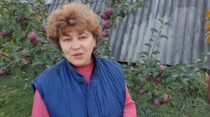 Яблоня СПАРТАН 2020г.