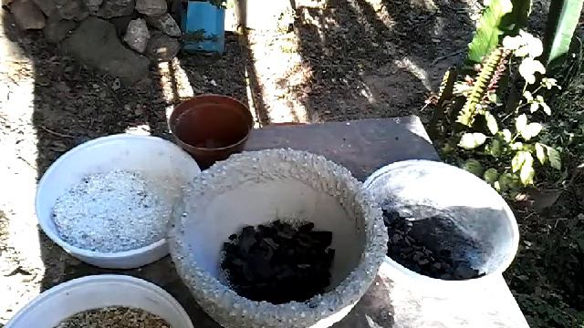 COMO REPLANTAR UM CACTO NO COMPOSTO смотреть онлайн