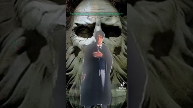 More Tom Riddle/Christian Coulson tiktoks because I said so смотреть онлайн