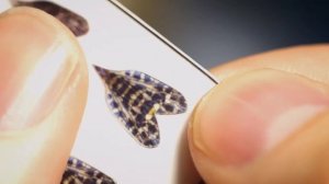 Мушка на хариуса - верховая мушка ручейник.