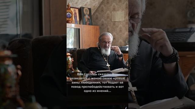 Что значит_ «… и кто жениться на разведенной, тот прелюбодействует» (Мф. 5_32) смотреть онлайн