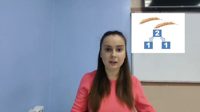 Математика.Склад чисел 2,3,4,5. смотреть онлайн