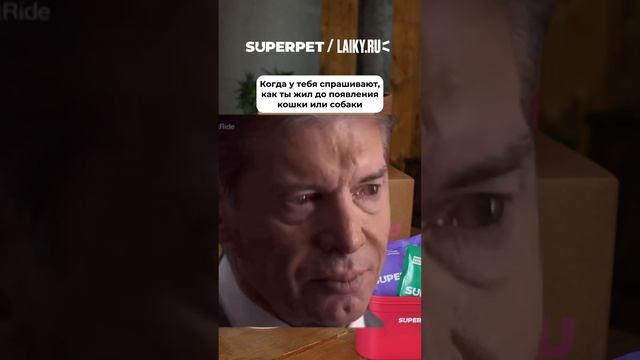 ДО И ПОСЛЕ ПОЯВЛЕНИЯ ПИТОМЦА