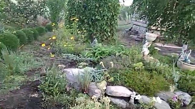 Утро на даче . смотреть онлайн