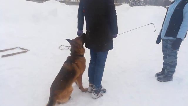 Уля. Подготовка к BH/VT, IGP. смотреть онлайн