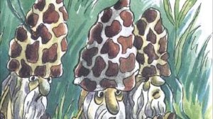 В.И.Даль сказка  "Война грибов с ягодами"