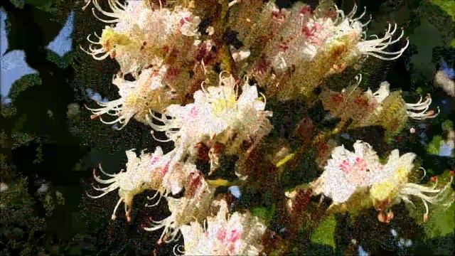 ДЕНЬ ПОБЕДЫ со слезами на глазах. смотреть онлайн