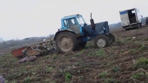 Копаем картошку МТЗ 80 польской копалкой 15 ноября 2019г