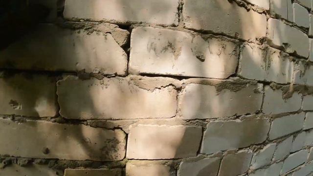 Тень здоровья 30.07.2023 смотреть онлайн