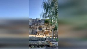 Прогулка по Сеулу, те места о которых вы не знали.