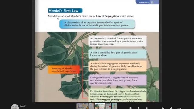 4F- monohybrid inheritance смотреть онлайн
