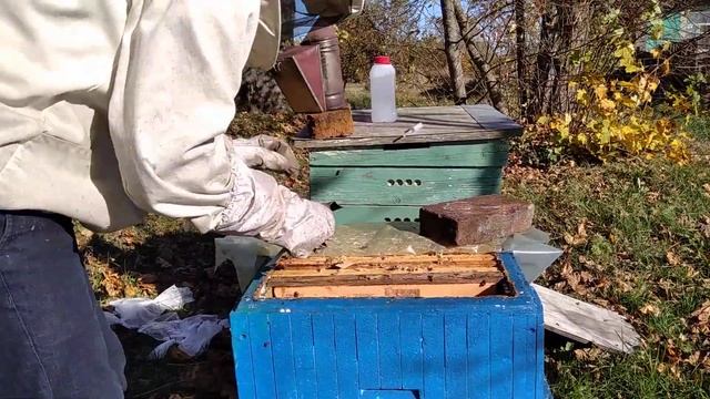 Окончательная сборка гнезд. Обработка от клеща препаратом ТАЛПАН. смотреть онлайн