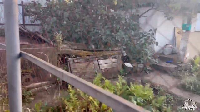 Наш СНТ | Прогулки по дачам | Природа вокруг | Красивая осень 🍂