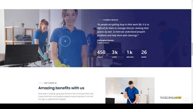 Minami - Cleaning Company and Services WordPress Theme смотреть онлайн