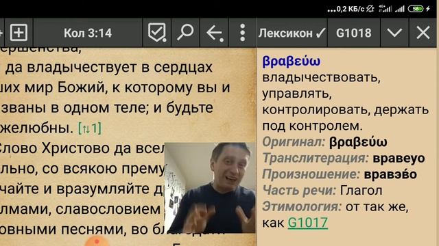 Водительство через ощущение жизни и мира смотреть онлайн