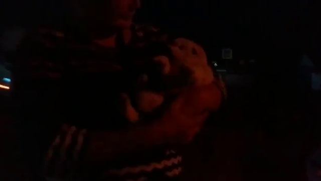 Ещё одна жизнь которую спасли. Помогайте бездомным животным обретать дом. смотреть онлайн