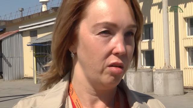 Собаки Чернобыля: вакцинация и стерилизация на промплощадке ЧАЭС смотреть онлайн