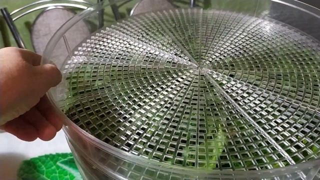 Заготовка зелени на зиму. Ароматная соль с травами. смотреть онлайн