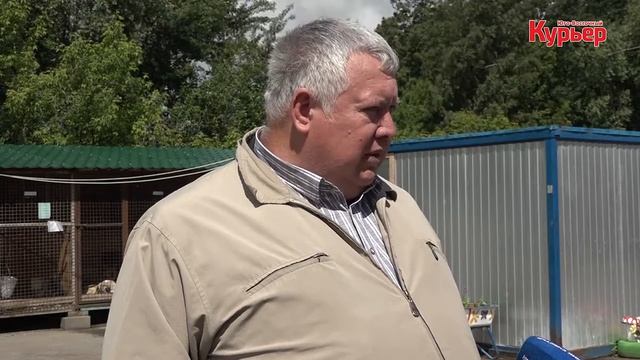 Как организована работа в приюте для бездомных животных в Печатниках смотреть онлайн