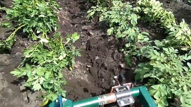 Новый ушастый окучник. смотреть онлайн