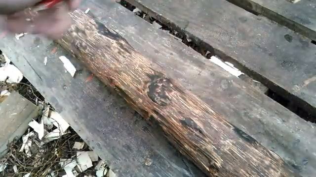 ???DIY Стеллаж для зимнего сада своими руками из подручных материалов смотреть онлайн