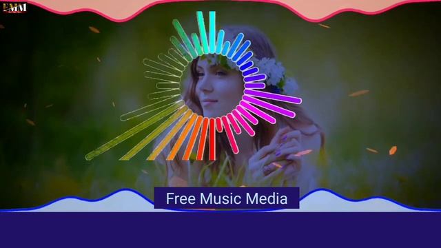 Midnight Sky LiQWYD ( Free Music Media Release ) смотреть онлайн