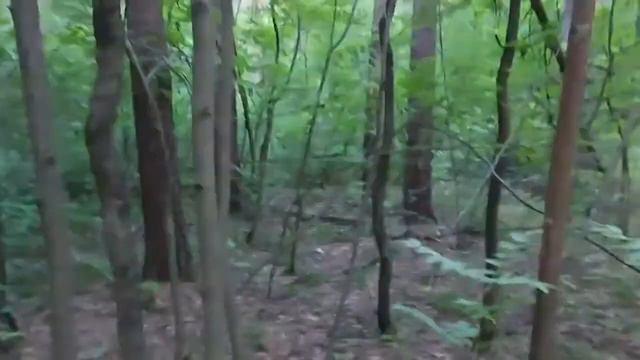 Вернуть зло назад! Ритуал от Инги Хосроевой! Ведьмина Изба смотреть онлайн