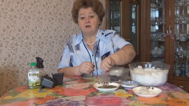 АКВИЛЕГИЯ---ПОСЕВ СЕМЯН -- 3 способа. смотреть онлайн