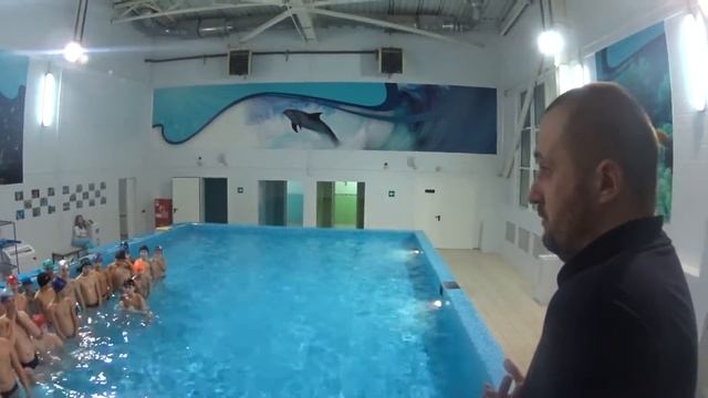 Боксёры в бассейне.Борисоглебск.Первая тренировка.07.12.2016 ..12 смотреть онлайн