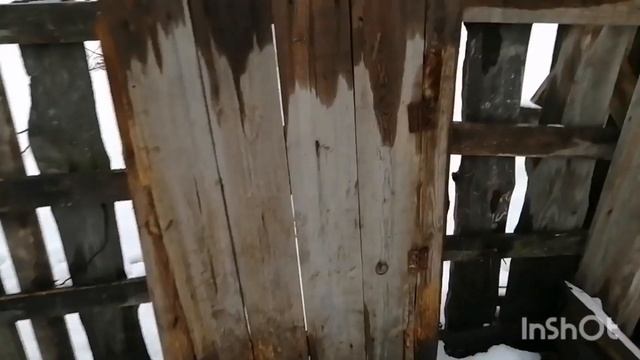 Обычный день Сушу сухарики?варю?наши животные????? смотреть онлайн