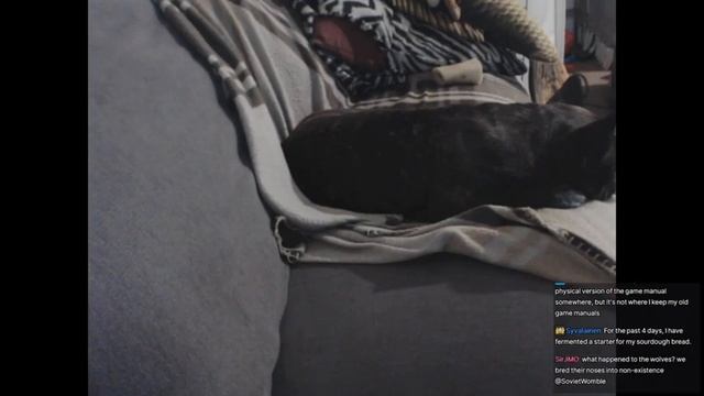 SovietWomble Streams [with Chat] - European Air War (Part 4) смотреть онлайн