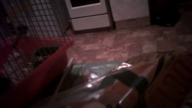 Рассказ о животных!!!! смотреть онлайн