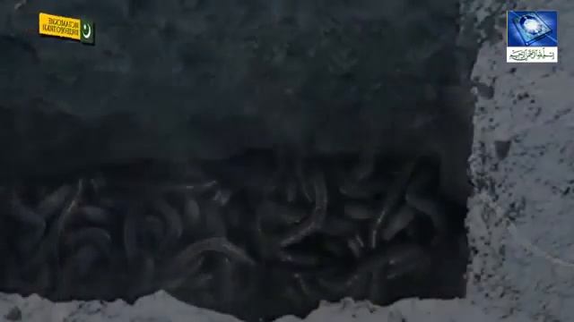 Опускание покойника в могилу!!! смотреть онлайн