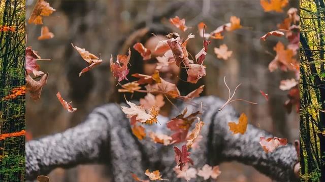 Осенний листопад