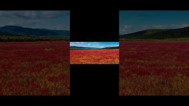 «Гимн России», исполняет творческий коллектив Дворца культуры шахтеров. Воркута 2022г смотреть онлайн