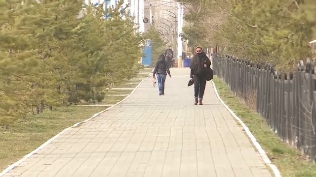 Автобусы планируют запустить с ограниченным режимом работы смотреть онлайн