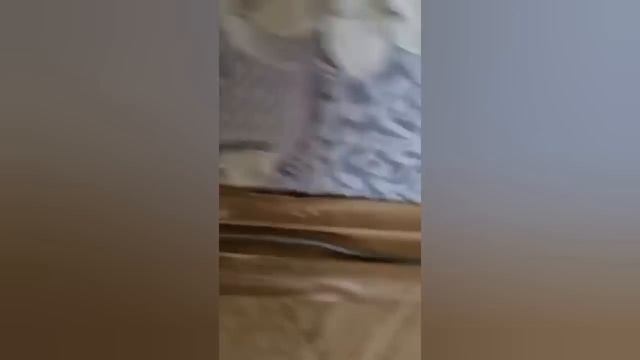 Иришка болеет,Олег Монгол закончил ремонт,Безумный Паша,Саня Бык,МС Киря смотреть онлайн